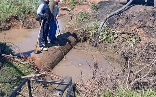  �������� ��������� ������������� ����������� ����������� ���� 