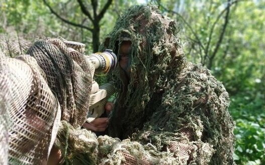  ���������� ����������� ������������� ������ ������������ ���������� ���� ������������ 