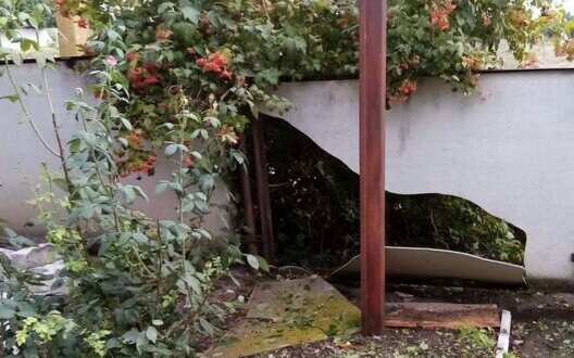 Фото: censor.net