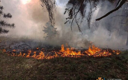  ������� �������� ����������� ���� ��������� ������� ����� ���� 