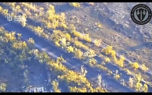 ����: censor.net