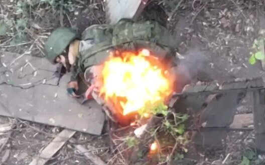  �������� ��������� �������� ������ ����� 