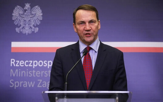 Преждевременный мирный саммит с РФ может не принести желаемых результатов для Украины, - Сикорский