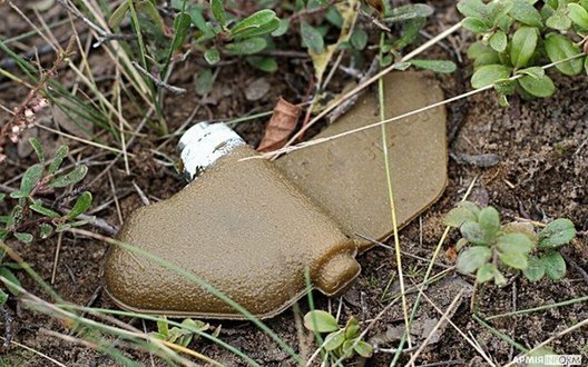 ����: censor.net