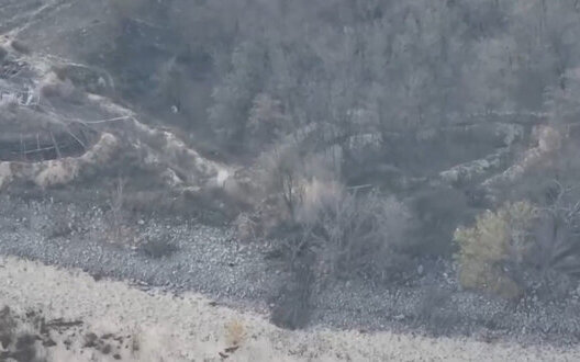  ��� ������������ ���������� ��������� ������� ��������������� ����� 