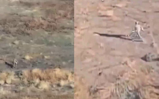  ����������� ������� ���� ���������� ���������� ���������� ����������� ����� 