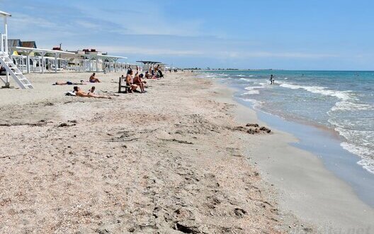  ������� ���������� ����� �������������� ���� ������� �������� ������������� 