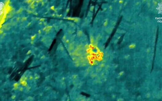 Фото: censor.net