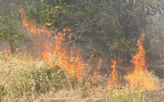  ���������� ���������� ��������� ���������������� ����� ���������� ������������ 