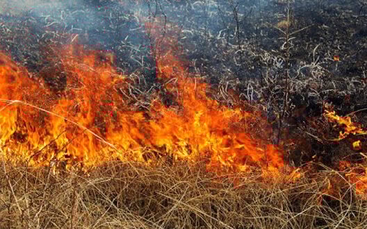  ������� ��������� ������� �������-��������� ������������ ������ ����� 