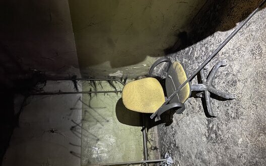  ������ ���������� ������������� �������� ������ �������� ���������� ���� 