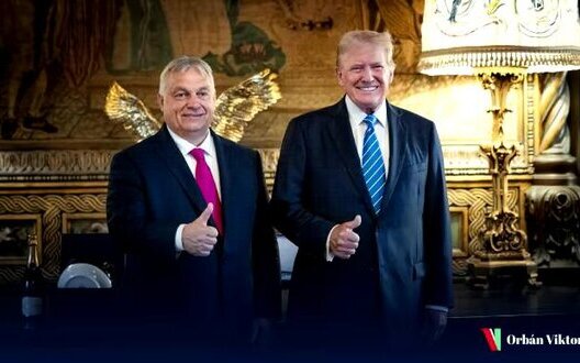  ����� �������� ������� ��� ������� ���������� ������ �������� 