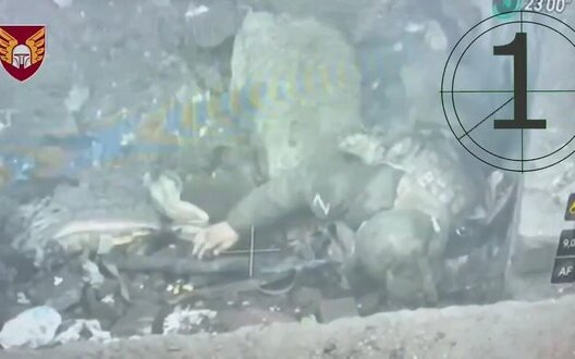  �������� �������� ���� ����������� �������� ����� 