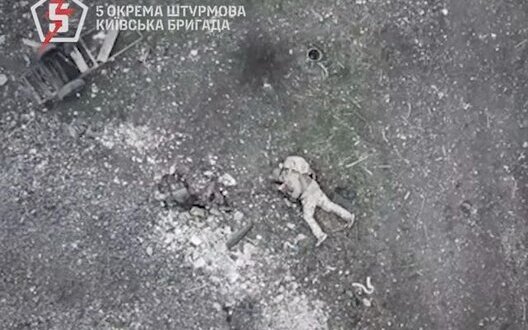  ����� ���� ���������� ����� ���� ���������� ���������� ����������� 