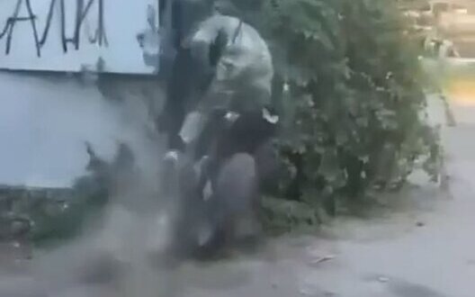  ���������� ���������-����������� ��������� ����������� �������� ����� ����� 