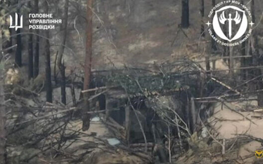 ����: censor.net