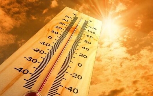 ����: censor.net