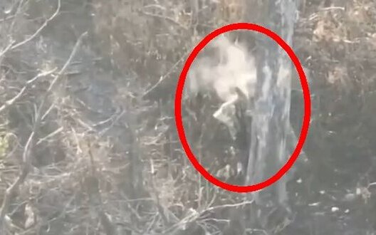  �������� ������ ������� ���������� �������� ���������� ������� ����� 