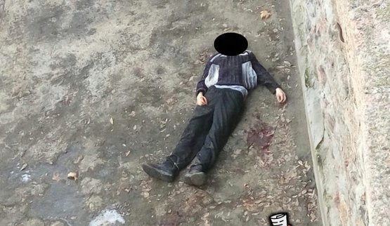 самоубийство зоопарк