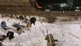 Ліквідовано Кирилова