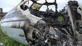 В Тульской области РФ разбился самолет АН-22 ВВС России. ФОТО