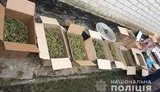На Луганщине ликвидирован канал поставок наркотиков на оккупированную территорию, изъято "товара" на 2 млн грн, - Нацполиция. ФОТО