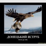 Донецкий ястреб