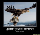 Донецкий ястреб