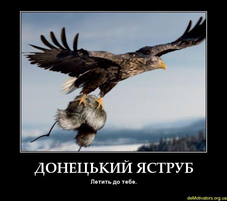 Донецкий ястреб