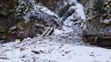 экология буковина лес водопад