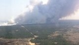 100 гектаров леса горит на Херсонщине, для тушения задействована пожарная авиация, - ГСЧС. ФОТО