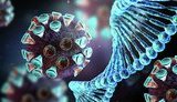 Ukraine reports 655 new coronavirus cases