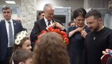 литва,зеленський,діаспора