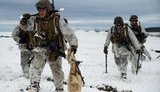 Нам не нужны американские или канадские солдаты. Мы будем бороться сами, но нам нужно вооружение, - Резников