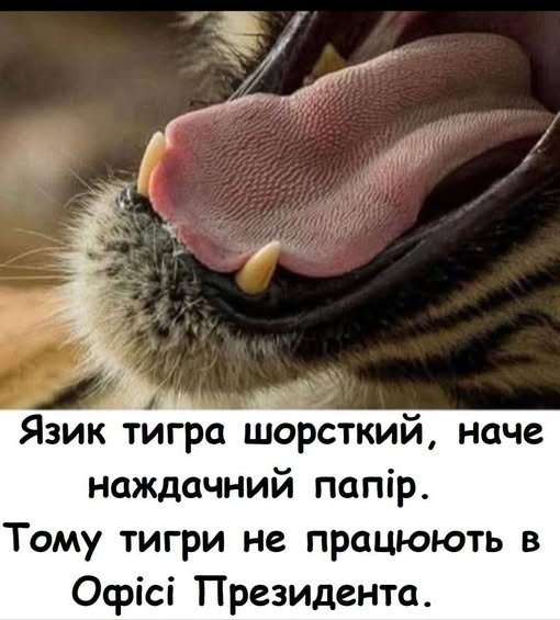 фотожаба