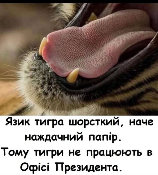 Із світу тварин