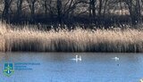водосховище