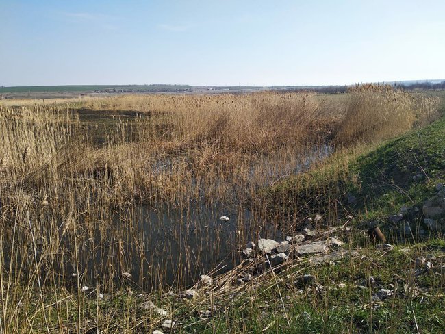 Цензор.НЕТ Изображение