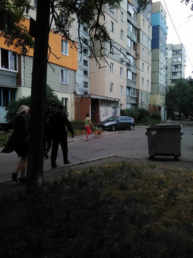собака
