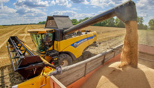 Harvest 2023: Ukraine harvests first million tons of grain. INFOGRAPHICS