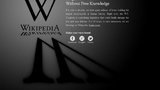 Wikipedia, Google и другие сайты протестуют против введения Конгрессом США цензуры в Интернете. ФОТОрепортаж