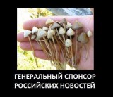 Источник вдохновения