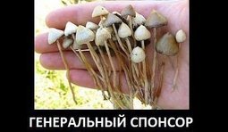 Источник вдохновения