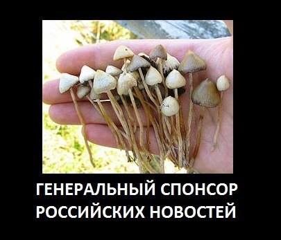 Источник вдохновения