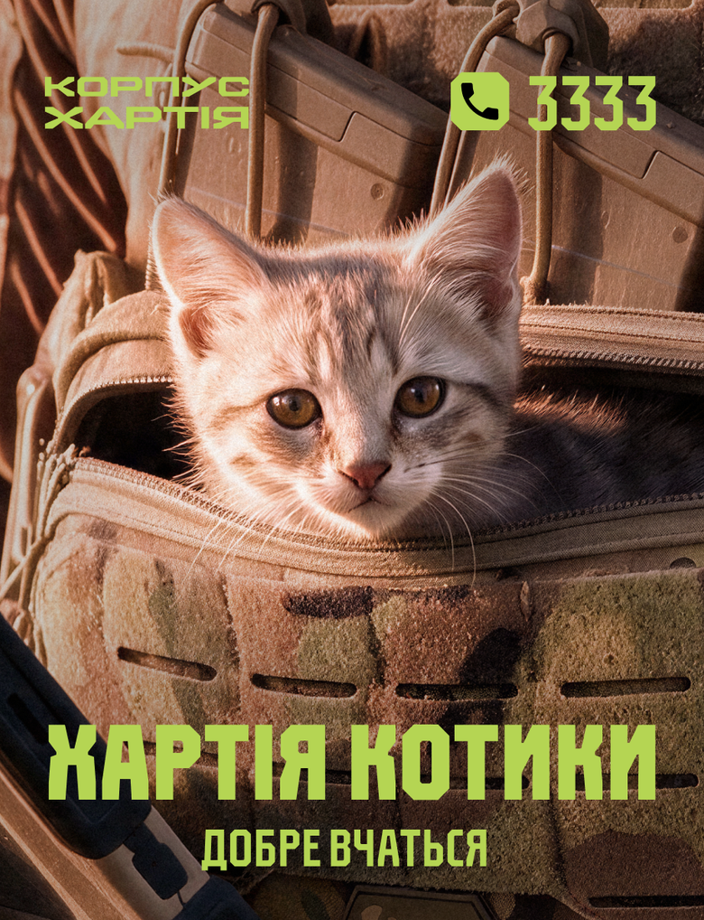 Хартия котики