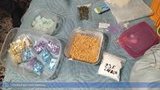 Мешканці Хмельниччини контрабандою ввозили великі партії психотропів зі Східної Азії, - СБУ. ФОТОрепортаж
