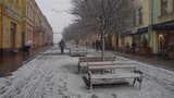 черновцы