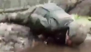 Российские оккупанты пьют воду из лужи: "Свиньи на водопое". ВИДЕО