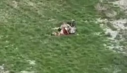 Бійці 82 бригади ДШВ розірвали окупанта навпіл влучанням ударного безпілотника