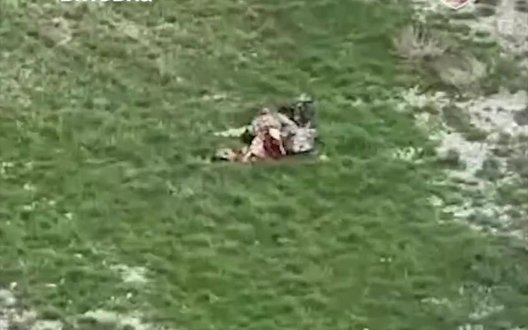 Невдала спроба збити український БпЛА розірвала тіло окупанта навпіл: бойова робота бійців 82-ї бригади. ВIДЕО 18+